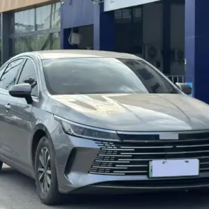 BYD Destroyer 05 2023 DM-i 55KM Champion Edition Luxury hybrid