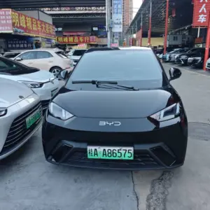 BYD Seagull 2024 Honor Edition 405km Flying Edition electric
