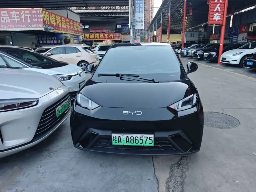 BYD Seagull 2024 Honor Edition 405km Flying Edition electric