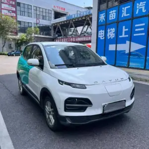 Dayun Yuehu 2023 300 Standard Edition electric