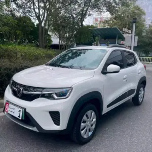 Dongfeng Nammi Box 2022 331km Standard Edition electric
