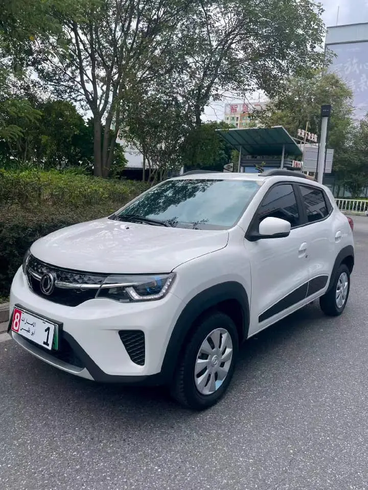 Dongfeng Nammi Box 2022 331km Standard Edition electric